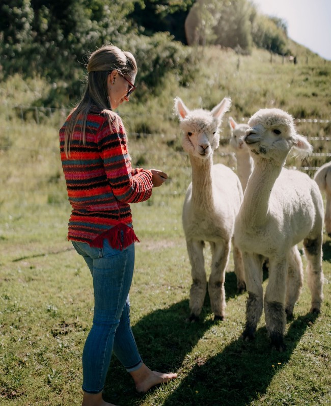 Maria füttert die Alpaka