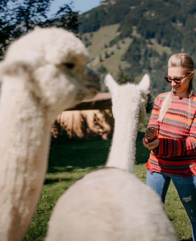 Hotel mit eigenen Wander-Alpakas